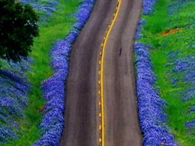 +256751735278 MOST POWERFUL DEATH SPELLS CASTER